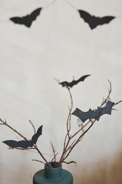 Vase of Bouquet of Dried Twigs with Paper Bats